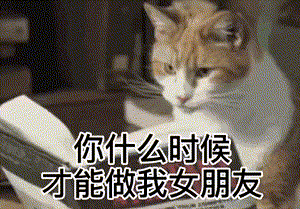 你什么时候才能做我女朋友?表情包-表情包网站
