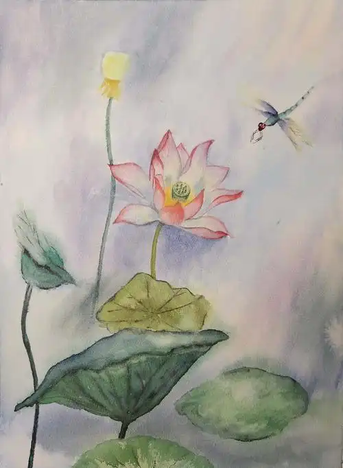 水彩荷花蜻蜓