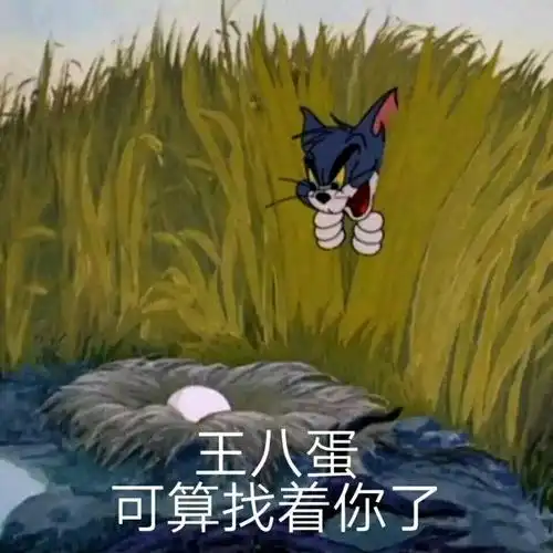 王八蛋,可算找着你了