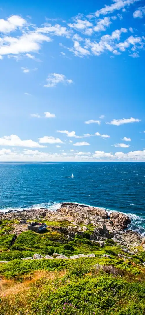 壁纸 风景 摄影 桌面 690_1496 竖版 竖屏 手机