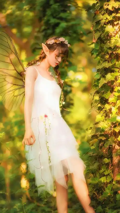 森林中精灵仙女