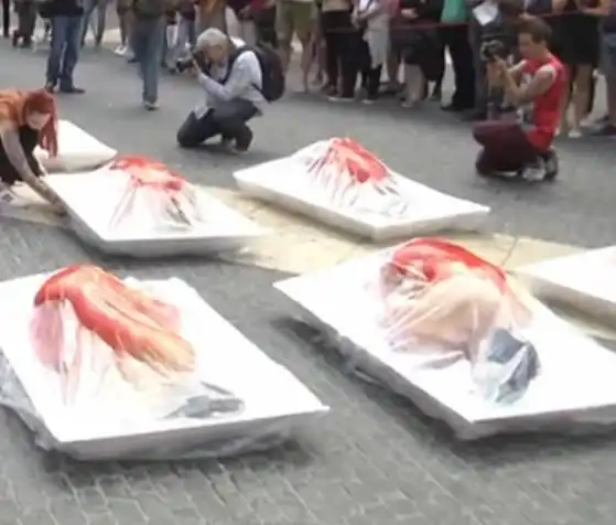 西班牙街头现"盒装人肉"群众对此事有不同看法