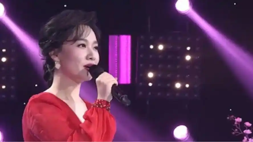 杨燕婷演唱《花月满人间》,嗓音清亮悠长,令人陶醉