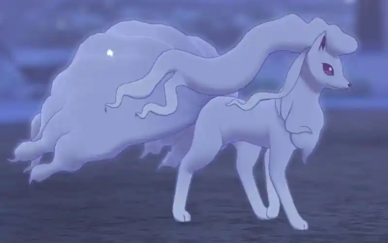 宝可梦剑盾白雪皑皑倾城佳人此等盛世美颜的狐狸妖谁不爱呢闪光冰九尾