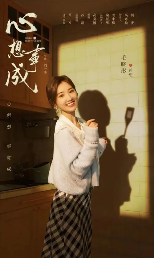 心想事成电视剧演员表,心想事成电视剧官宣视频,电视连续剧心想事成