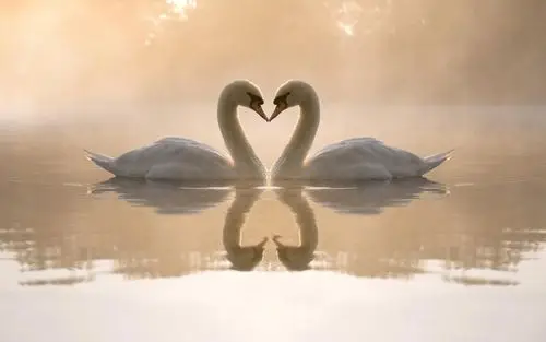 海量高清情侣唯美精选锁屏壁纸图片大全(二)高清大图预览1920x1200