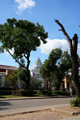 暹粒市街景,现代建筑与古树融为一体