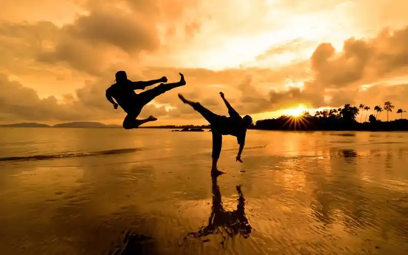 答粉丝问武术套路招式能否用在散打实战中