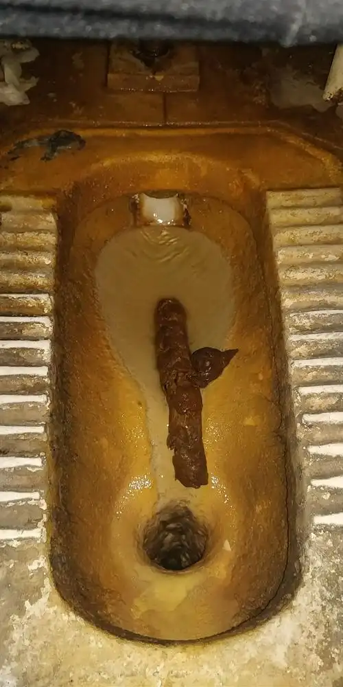 如何拉出一根50cm长的屎