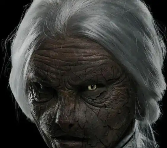 猫脸老太太-深海人鱼姬-话本小说网