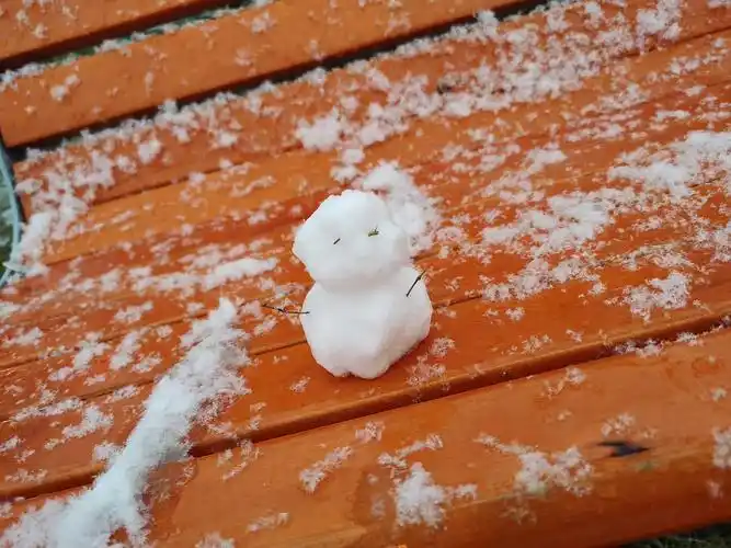 偶遇一只小雪人