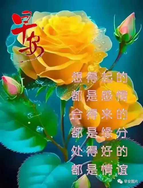 10月9日早上好,最新版早安祝福语表情图片大全问候语|快乐|清晨|甜蜜