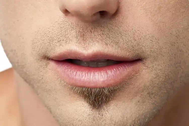 人类男性嘴唇,关闭了人类男性嘴唇的形象