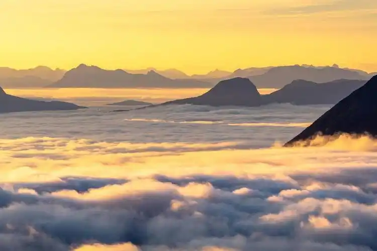 日出前的森林美景剪影高清天空壁纸图片2023(3840x2160) - 4k风景高清