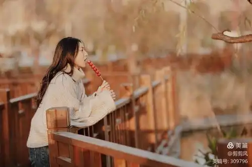 今天我是冰糖葫芦女孩