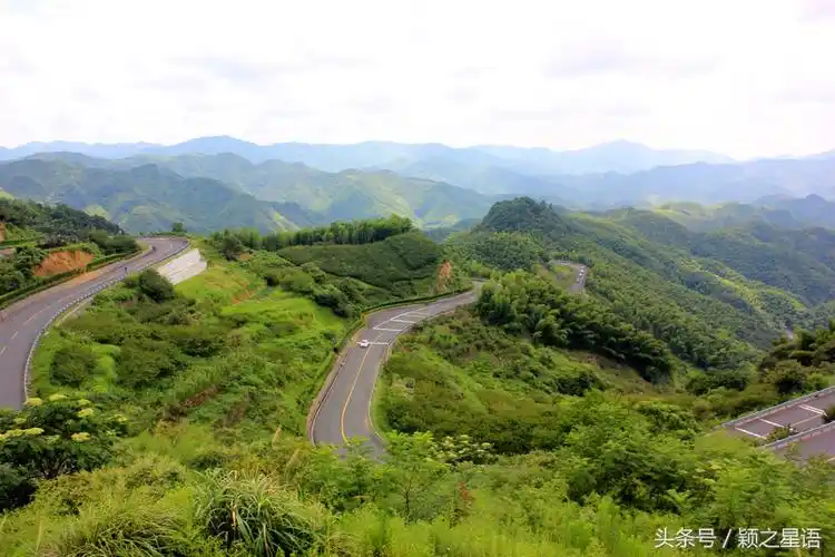 夏日全民旅行记:宁波最美自驾游公路,如何玩转四明山