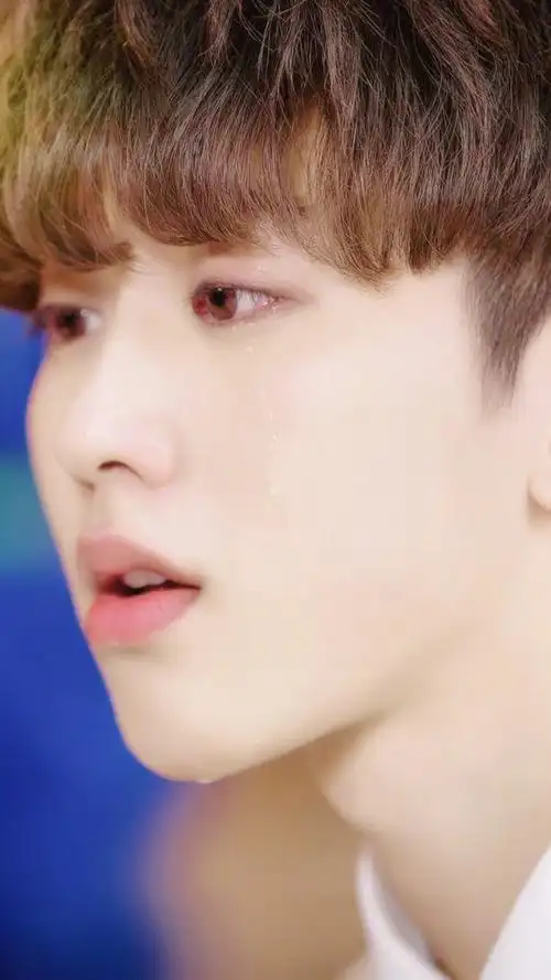 cr:伍月物语蔡徐坤 我才 叶麟(绝美 哭 手机壁纸)