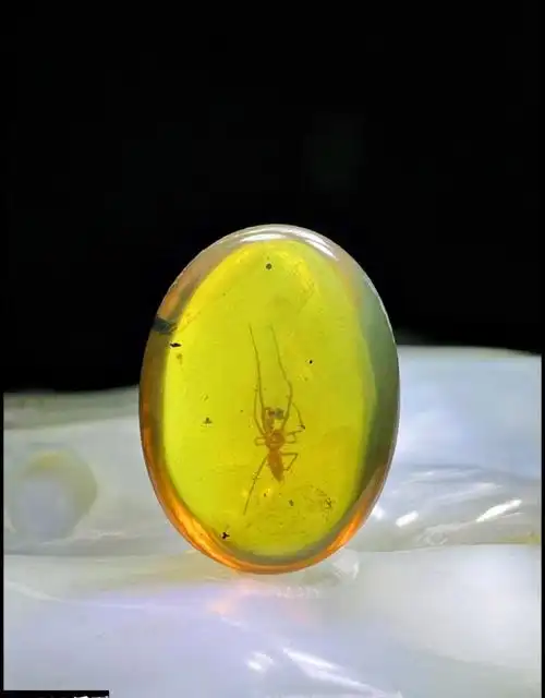 缅甸琥珀吊坠虫珀蜘蛛活水胆植物昆虫动物琥珀化石蛋面水滴生日礼物mx