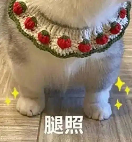 可爱的表情包来了来了