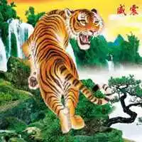 上山虎微信头像男士用_微信头像图片大全