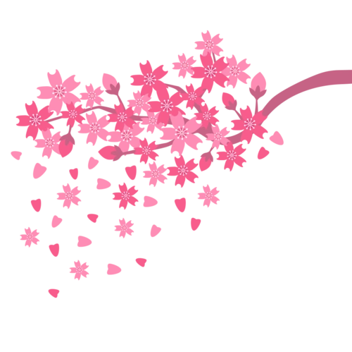 矢量粉红樱花简约插画图片