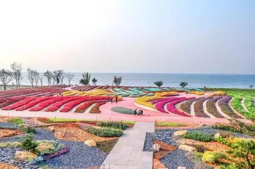 不负春光的馥郁烂漫,明晚,到澄江广龙小镇来一场燃烧的民族狂欢_花海