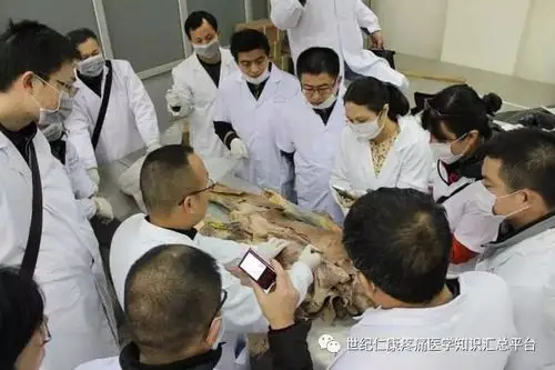 腰椎间盘各种病变表现值得收藏