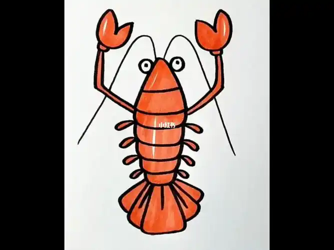 小龙虾简笔画教程图案