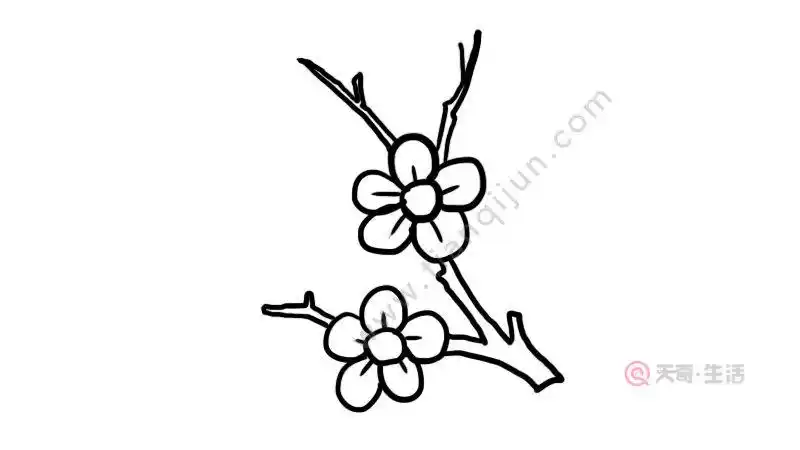 梅花树枝简笔画