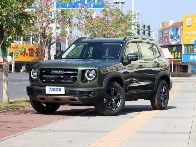 长城汽车 哈弗大狗 2021款 1.5t dct两驱哈士奇版