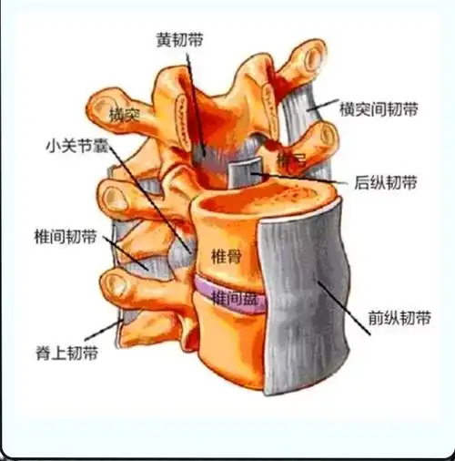 黑百通医贴膏课程(腰椎管狭窄可致残)本文非我所写只为传播正能量