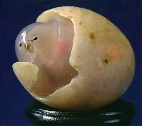 全国珍稀奇石盛宴,一饱眼福!