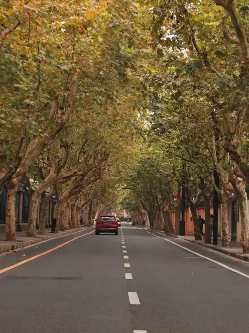 01上海的湖南路