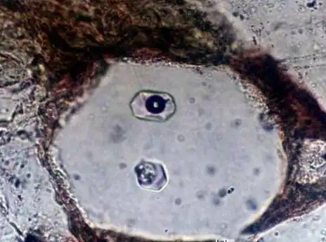 含气液包裹体的单晶石英(放大200倍)