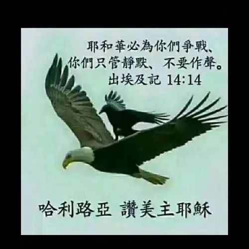 耶和华是我的牧者