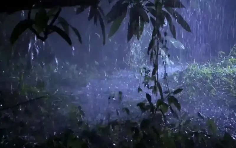 在户外夜晚的大暴雨和雷声之中立即入睡,睡眠的雷雨声