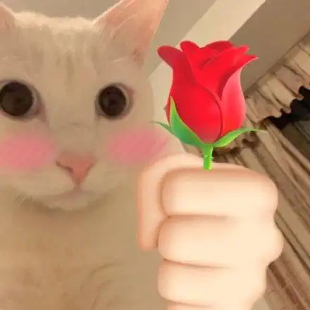 猫咪拿玫瑰表情包_玫瑰_猫咪表情