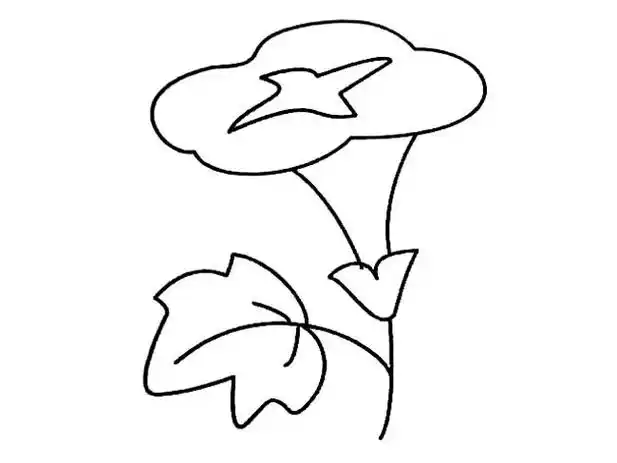 牵牛花简笔画花牵牛花植物花简笔画步骤图片大全二