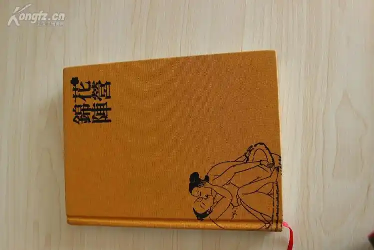 【图】《花营锦阵》 笔记薄 繁体 内含花营锦阵全部春宫图,拍品信息
