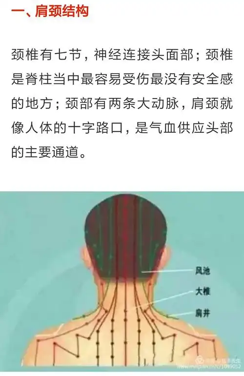 所以要解决气血问题,必须先疏通各条经络,经络通万病不生!