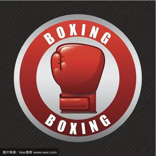 拳击设计