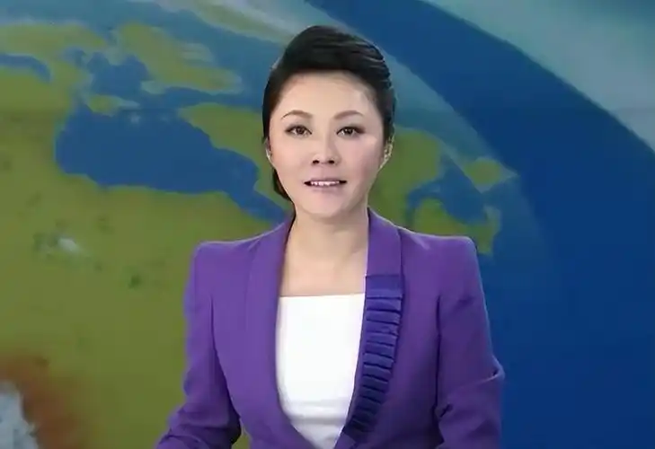 回顾央视美女主播紫凝贷款买车41岁仍未婚风光背后有泪水