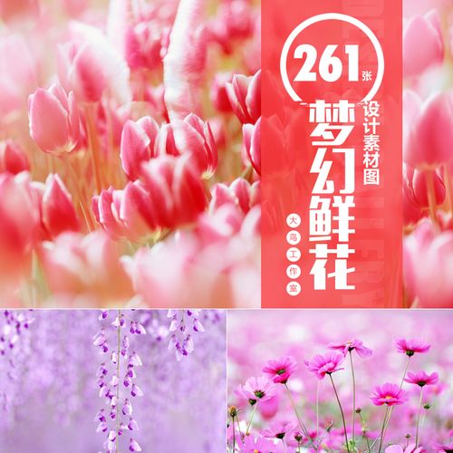梦幻鲜花素材大图唯美花卉背景图片美丽花朵鲜花设计素材