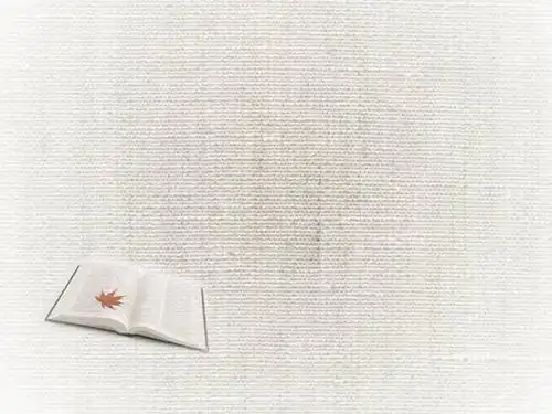 简洁白色书本课本幻灯片背景模板,ppt模板,素材免费下载 - 云筝资源网