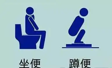 于是,一种争论就呼之欲出了——到底是蹲着大便好,还是坐着大便好呢?