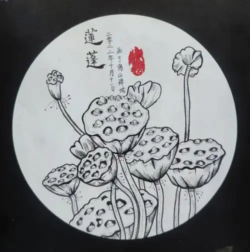 黑白线描莲蓬