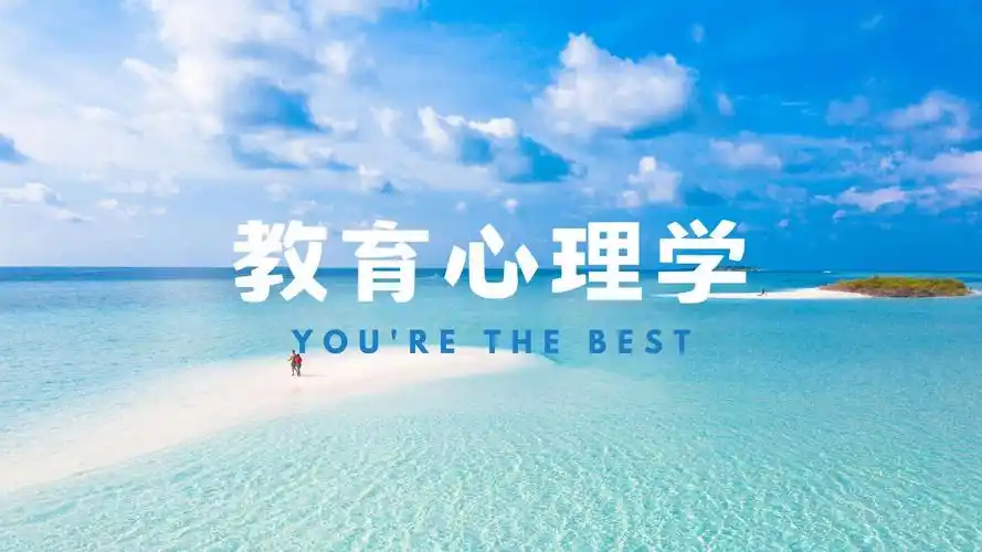 【311/333】四天带你学完教育心理学!day-4(已完结)