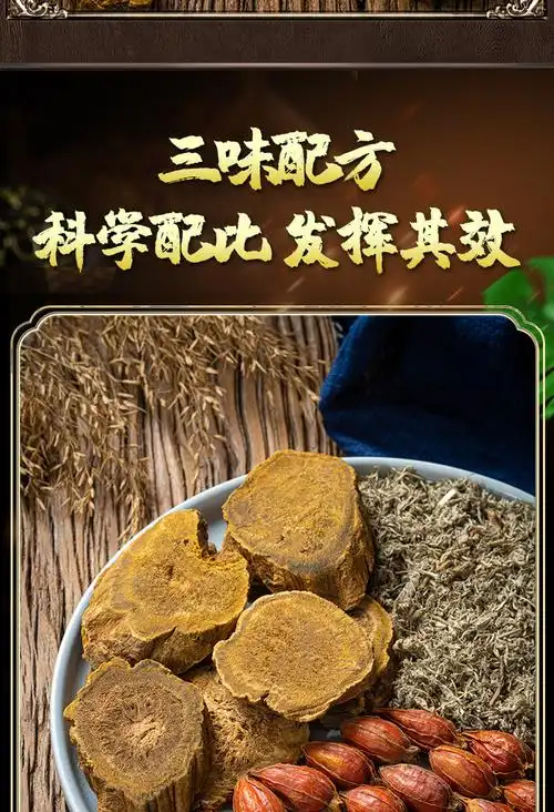 茵陈蒿汤新鲜茵陈白蒿茶绵茵陈栀子大黄甘草黄柏加减
