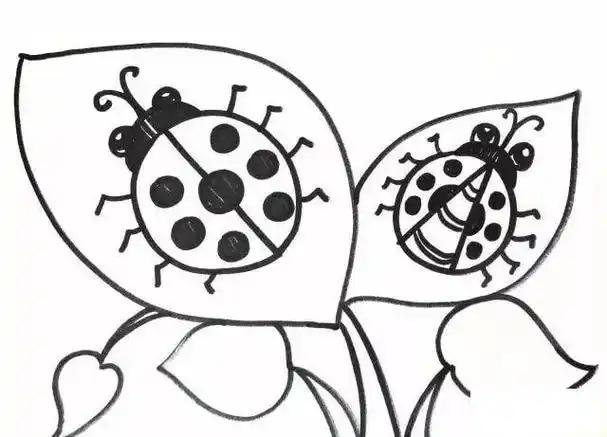 七星瓢虫的家简笔画
