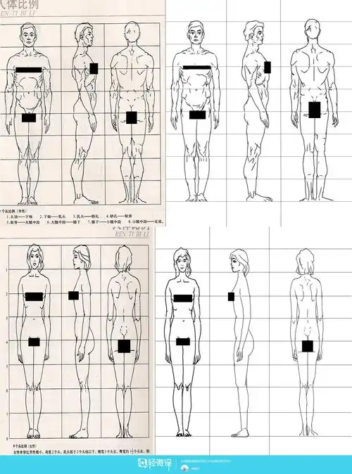 画者:锦公子 作业:男女人体比例